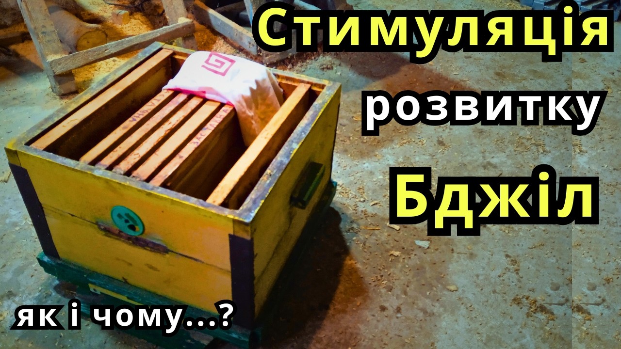 Стимуляція Розвитку Бджіл/Весняне Скорочення /Як Правильно