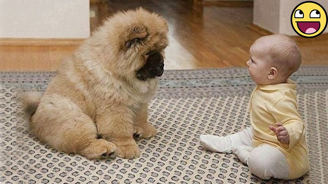 Когда ваших детей воспитывает собака 🐶👶