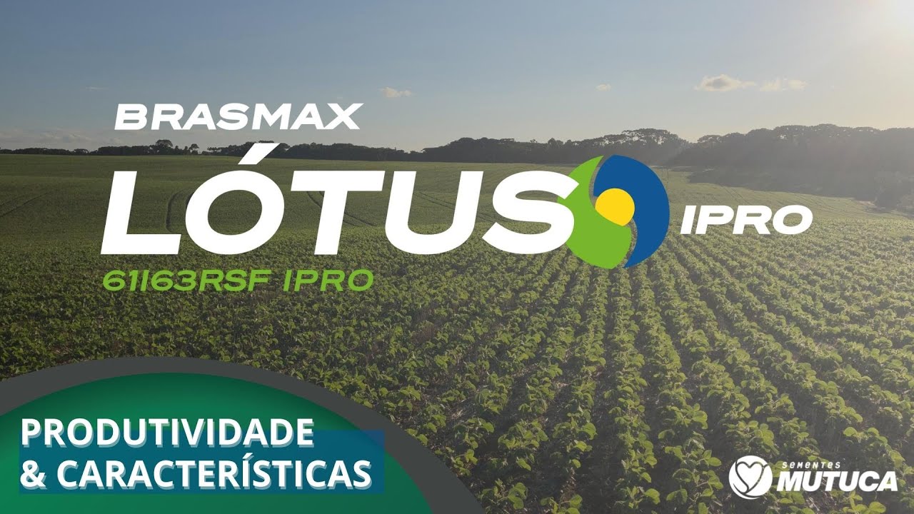 BMX LÓTUS 🌱 Produtividade & Características 🚀