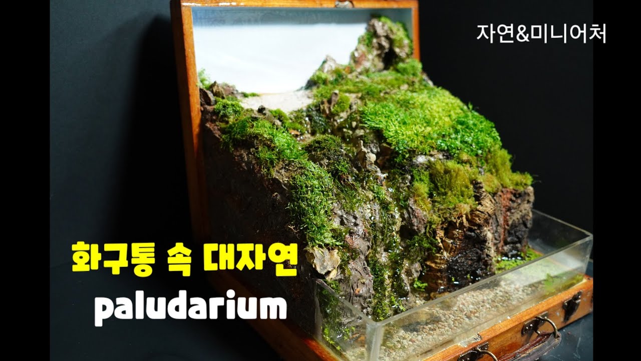 화구통 속 대자연/이끼 팔루다리움 