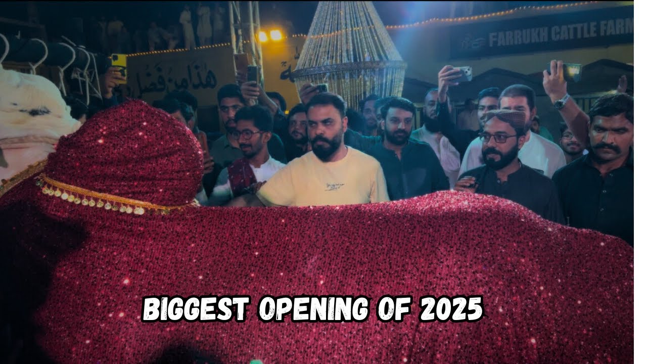 Farrukh Cattle Farm | Grand Opening | PART 01 | FatehJangi Bulls 2025 - Biggest Opening of 2025
