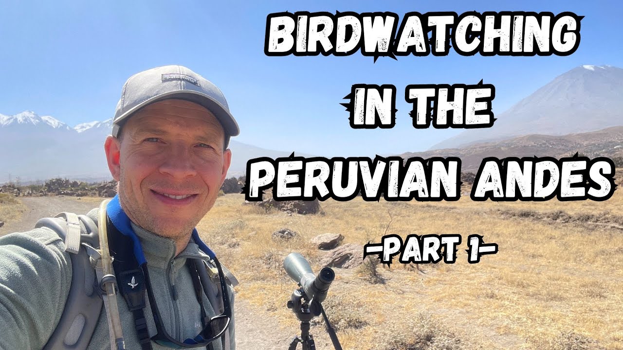 Birding the wild Peruvian Andes! PART 1