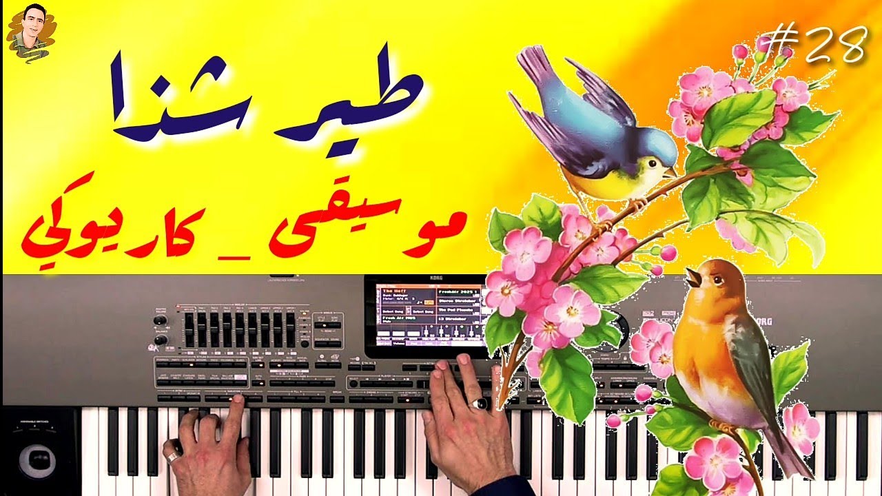 طير شذا (موسيقى _ كاريوكي)