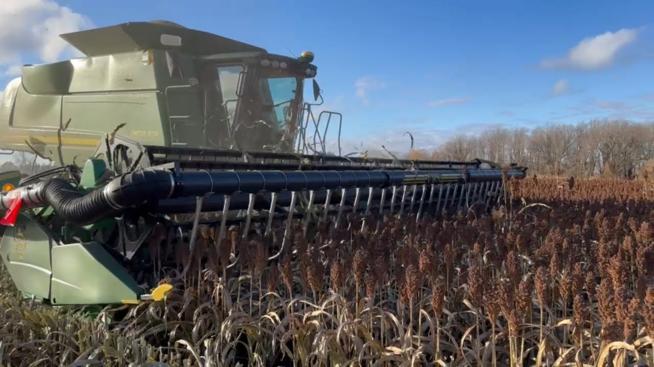 John Deere 9670 Combine Harvesting Milo
