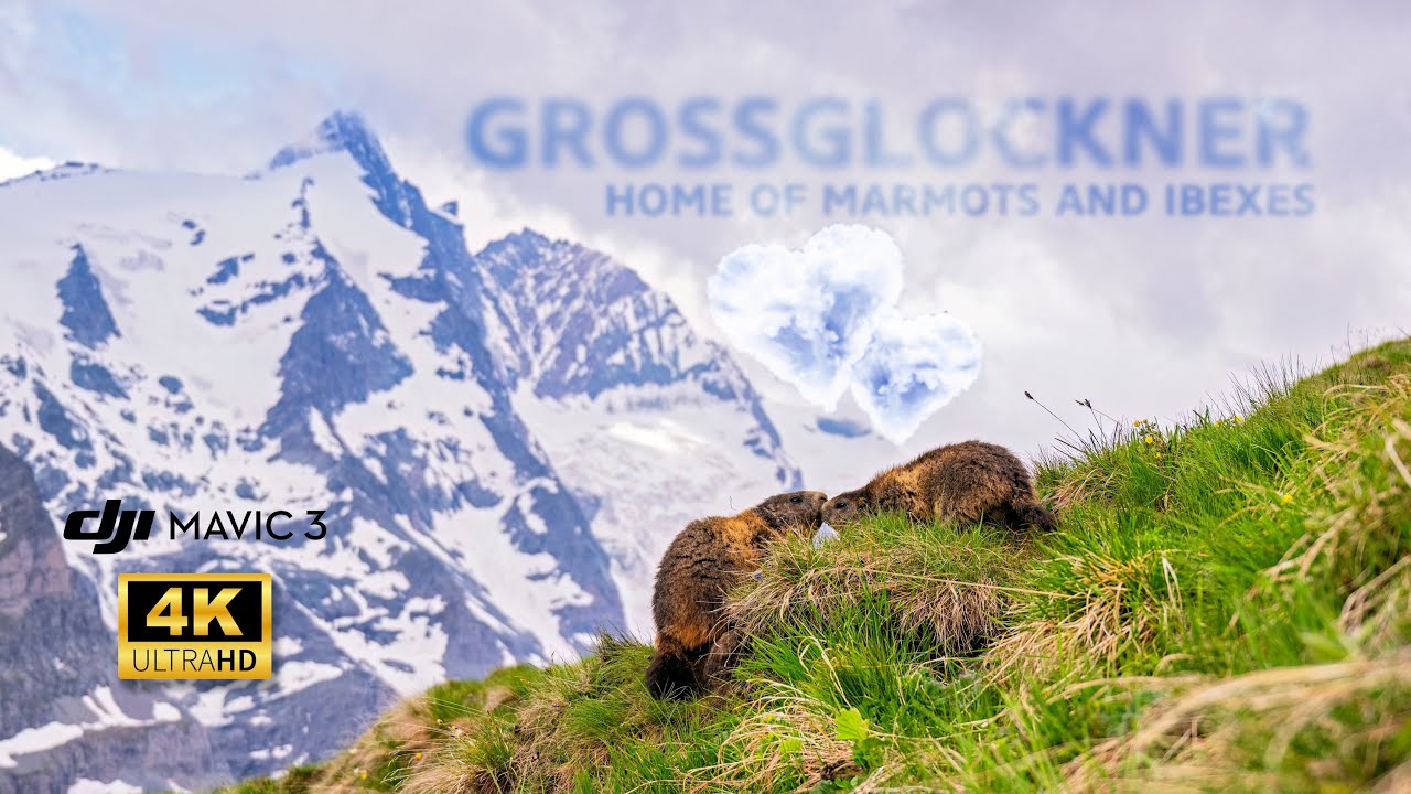Lukas Zeman: Expedition Grossglockner - domov svišťů a kozorožců / home of marmots and ibexes (4K)