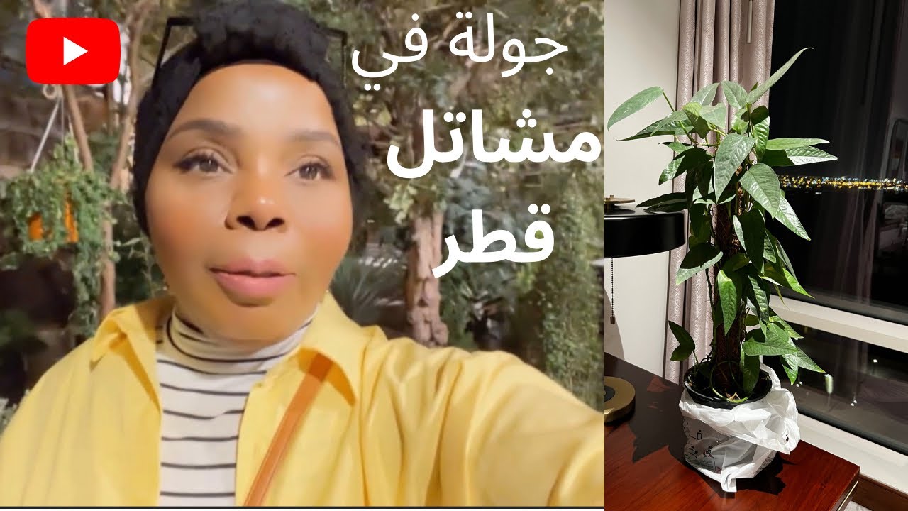 جولة في مشاتل قطر الحبيبة وشريت نباتات منزلية 🇶🇦