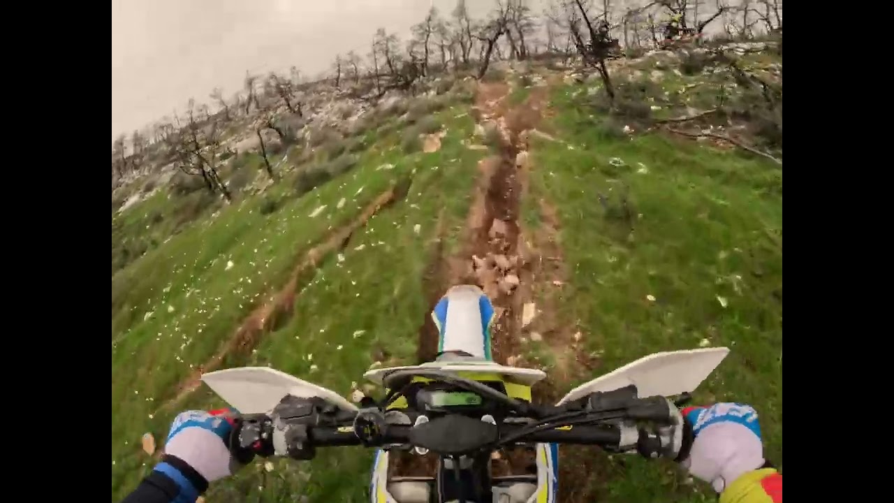 Enduro evias & enduro extreme boys