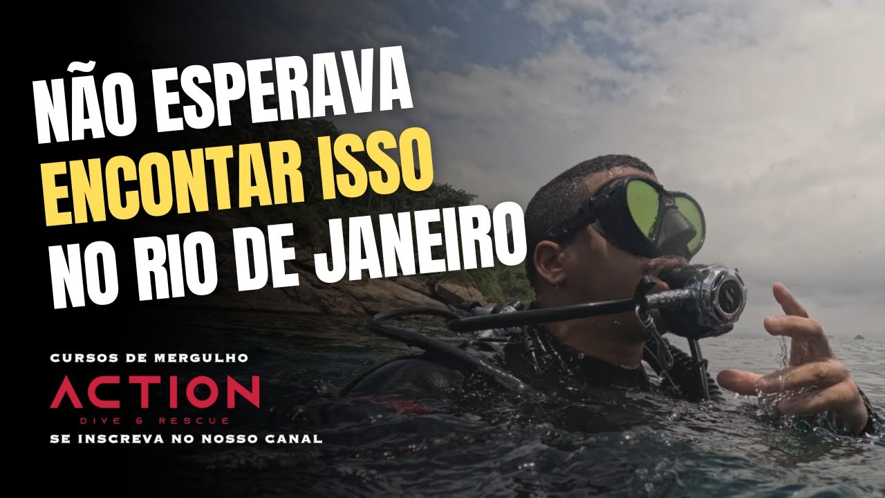 Mergulho nas Ilhas Cagarras: encontros inesperados no fundo do mar