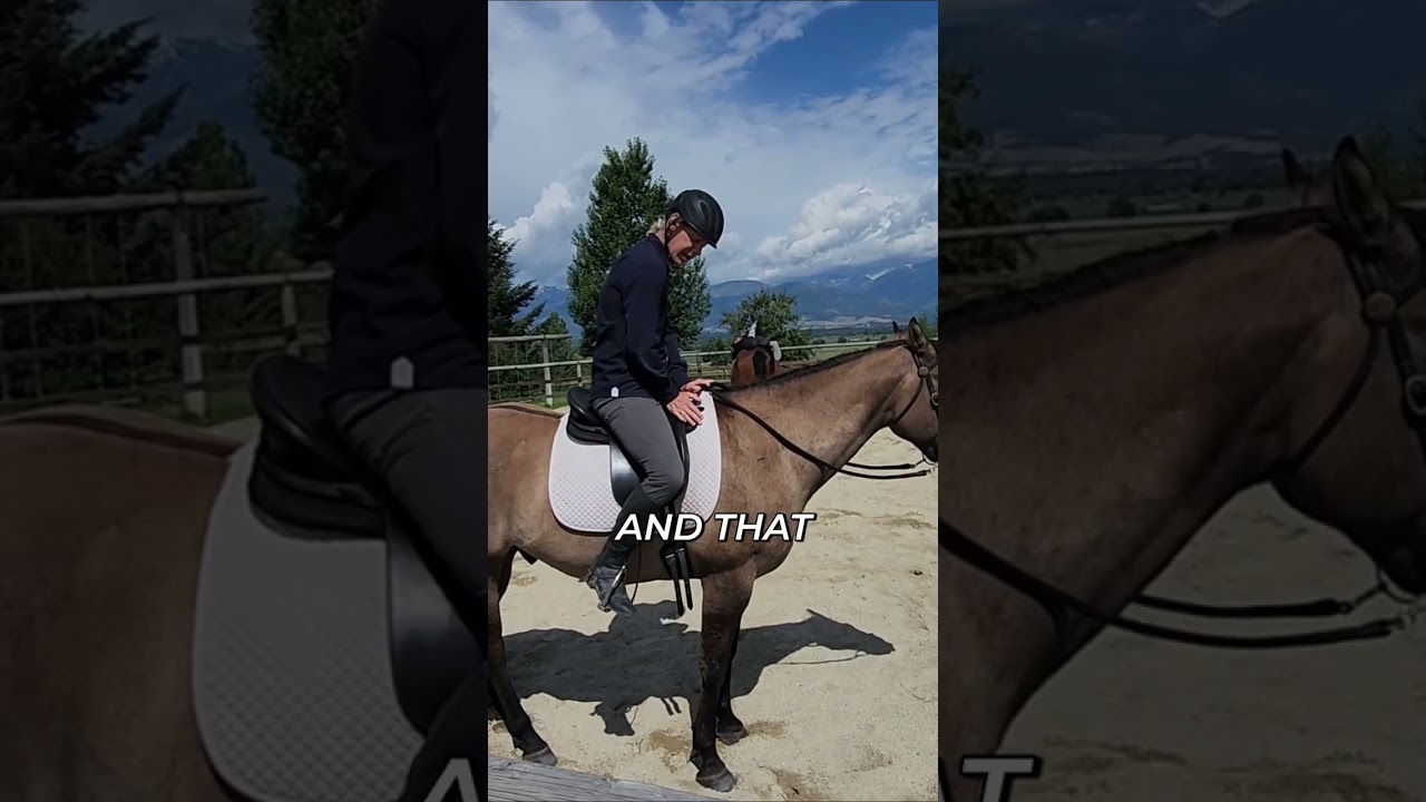 Train Your Horse: Leg Pressure Basics with Blue 