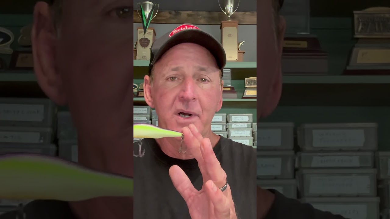 Best Spotted Bass Lures