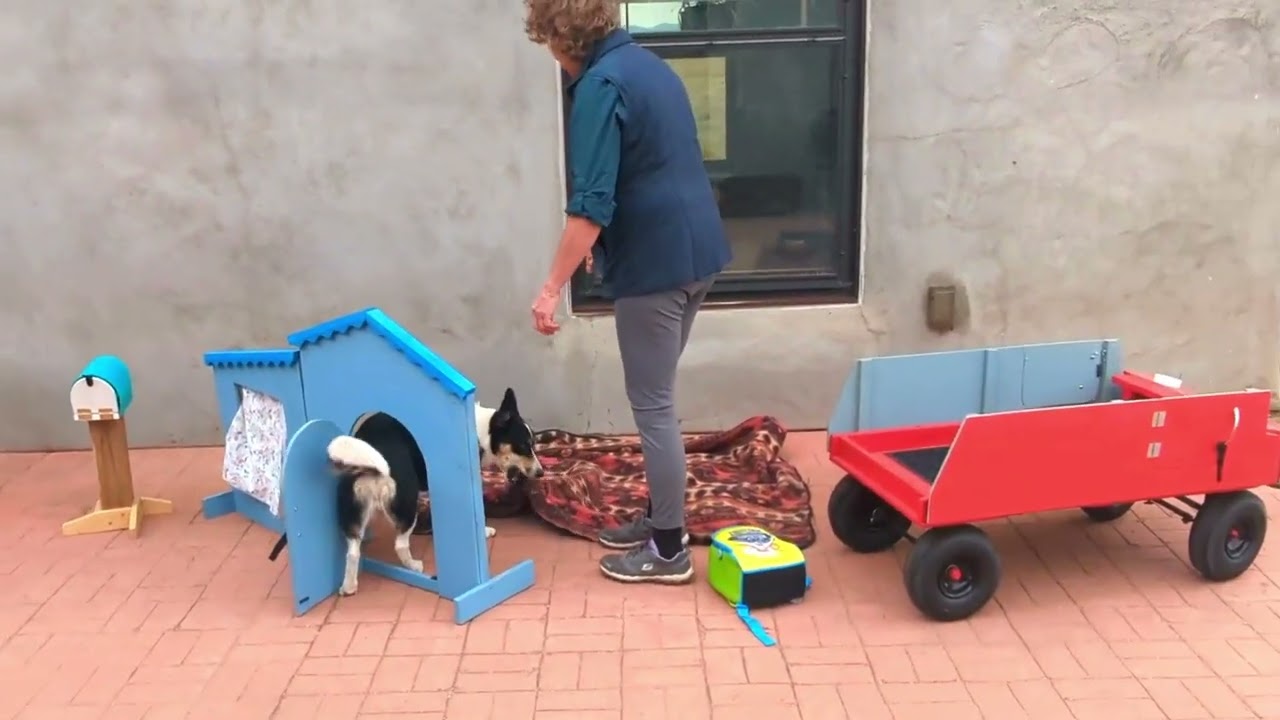 CASH VIDEO