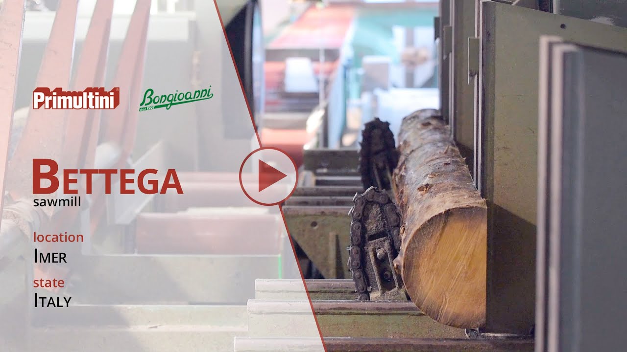 Sawmill Bettega