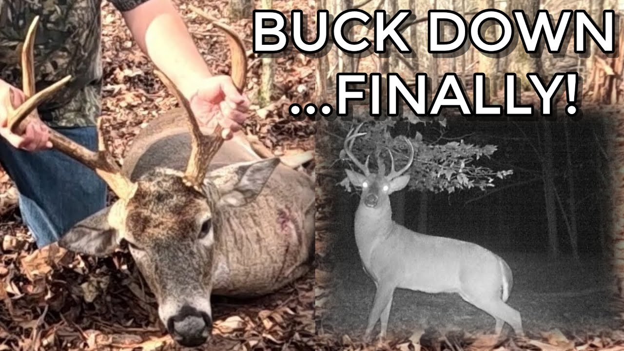BUCK DOWN!  Finally Got A Deer - Brutally Tough Long Season Finale – Episode 25 Part 2