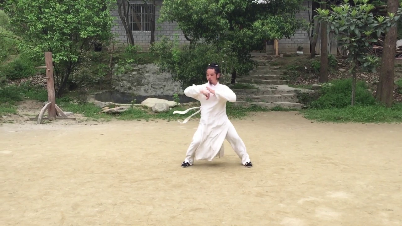 武當玄武拳 陳師宇道長演繹