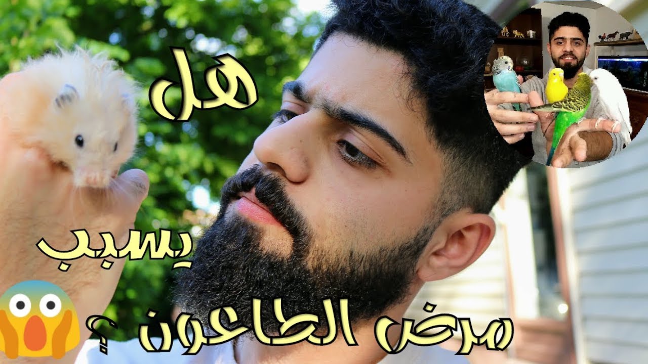 هل الهامستر يسبب ألأمراض للأنسان؟ #منير_ليث
