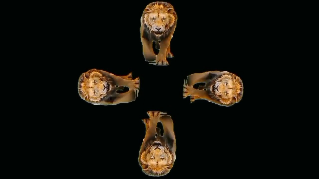 Lion Hologram Video 3D [01]