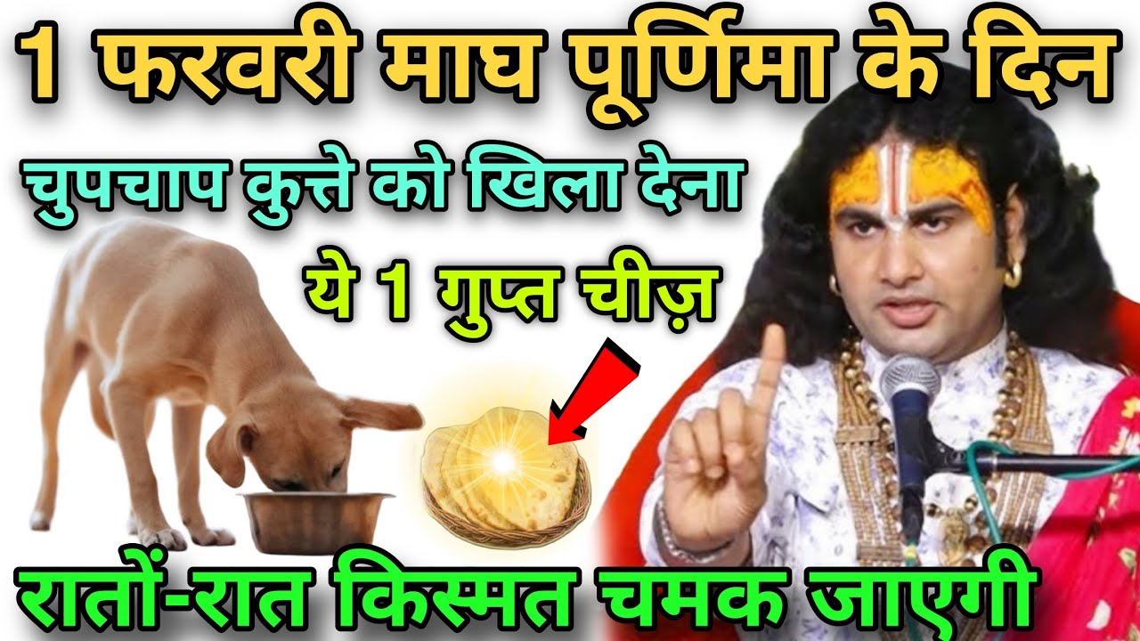 1 February माघ पूर्णिमा के दिन चुपचाप कुत्ते को खिला दे, यह 1 गुप्त चीज रातों-रात किस्मत चमक जाएगी