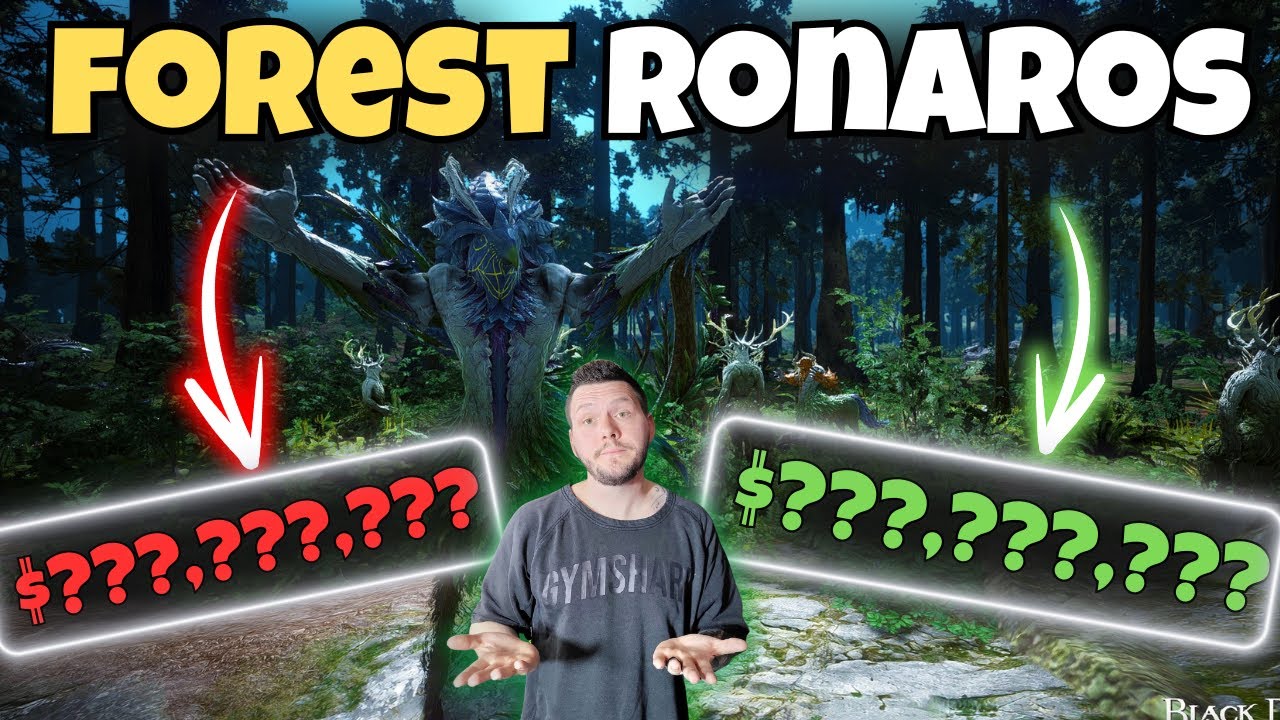 Руководство BDO Potion Spot Forest Ronaros (Лес Зубной Феи) &mdash; Серебро в час, Ротации, Механика и ...