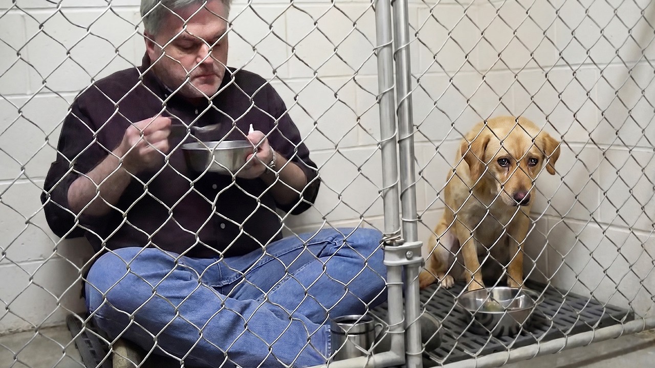 No One Wanted to Adopt Him... Until This One Moment Made Everyone Cry 😭💔