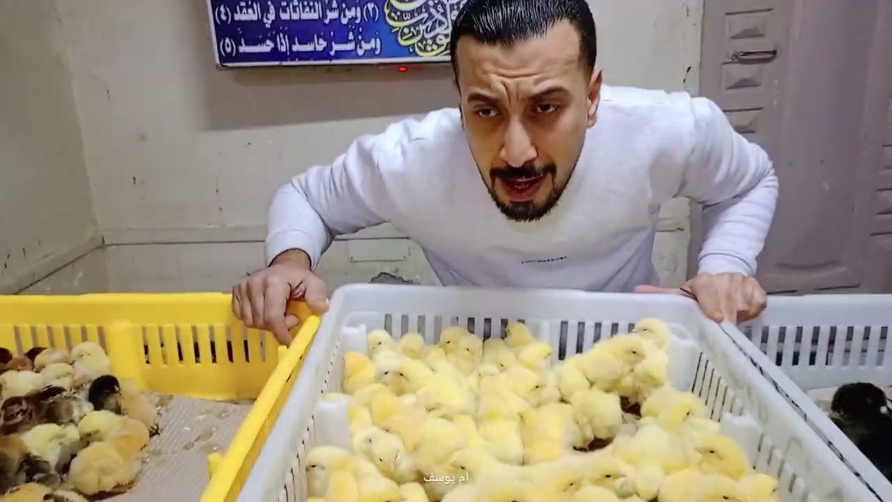 نزول من السما للأرض تعديل في السعر اول تعليق 