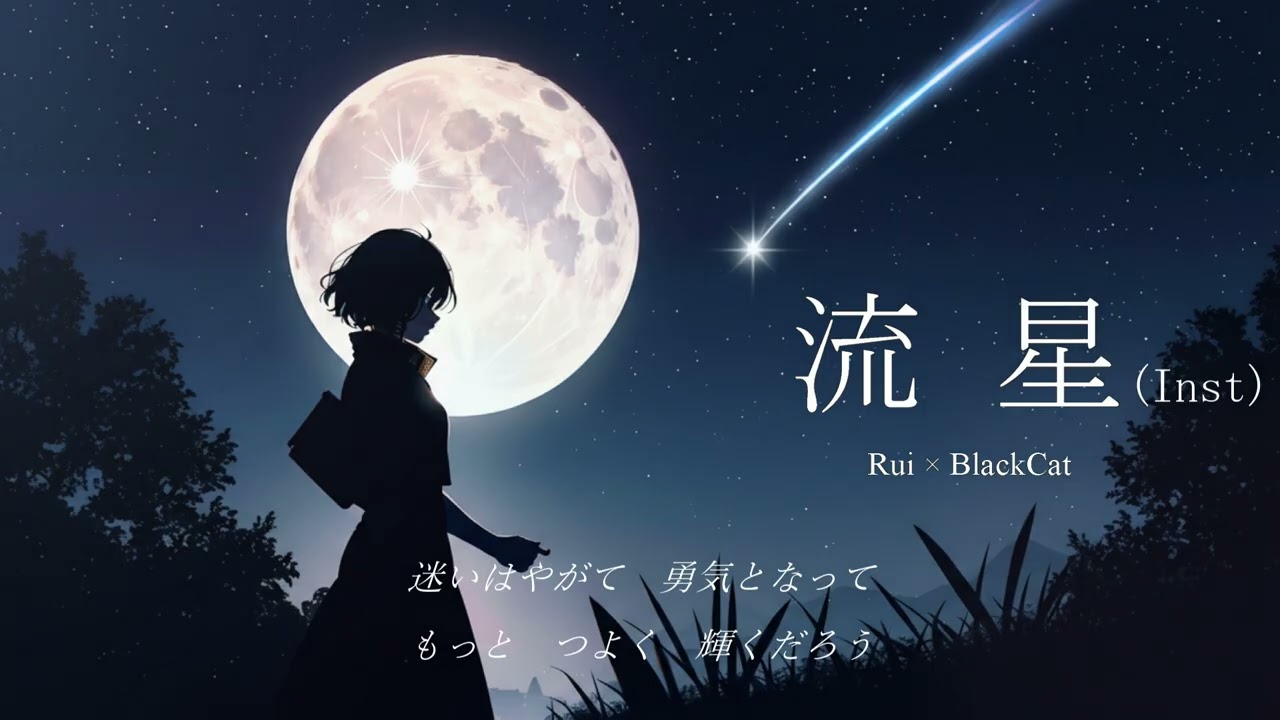 『流星』Rui × BlackCat  （INST）