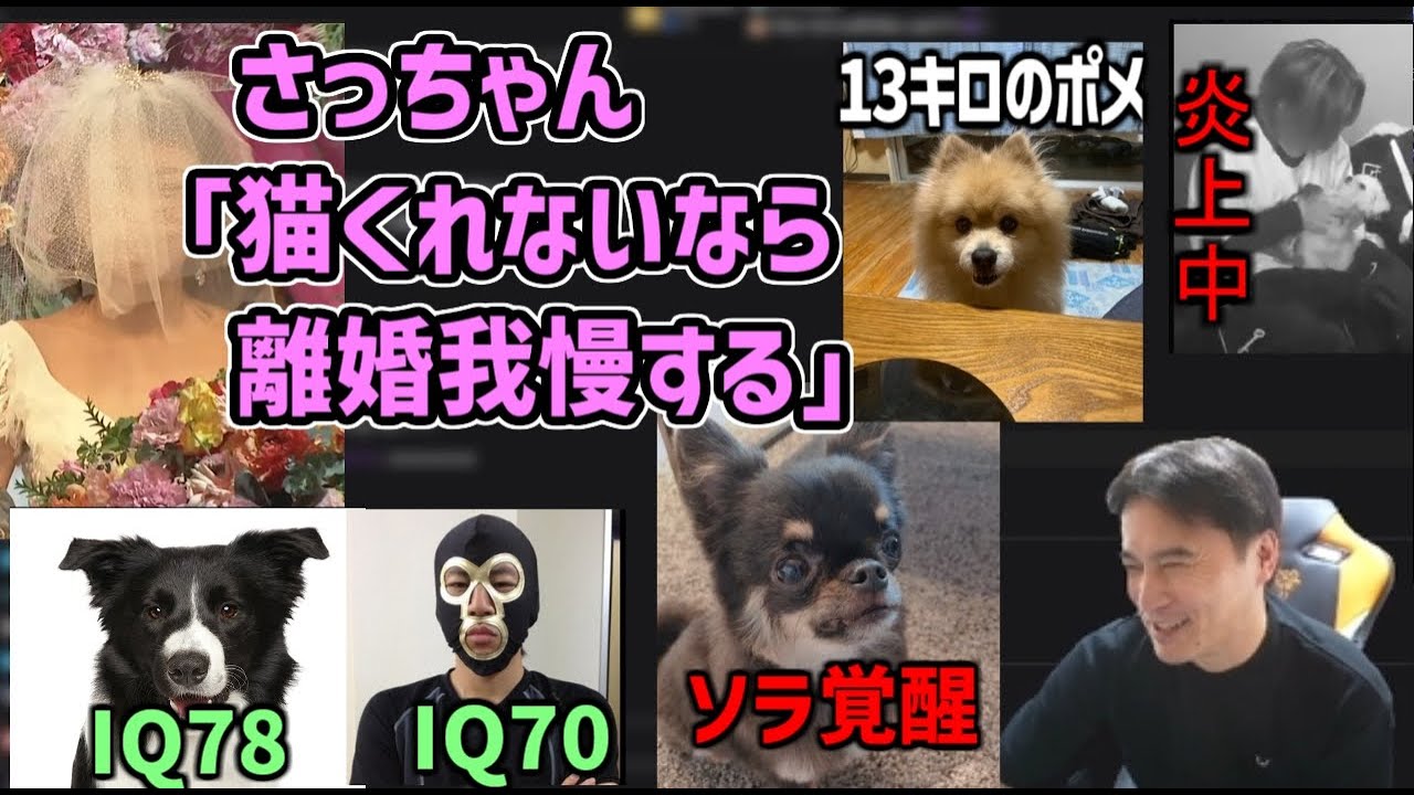加藤純一の犬猫トーーク【2025/12/18】