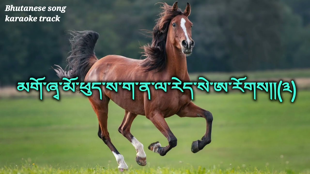 Dro sena tapho boedra [vocal off] traditional Bhutanese song
