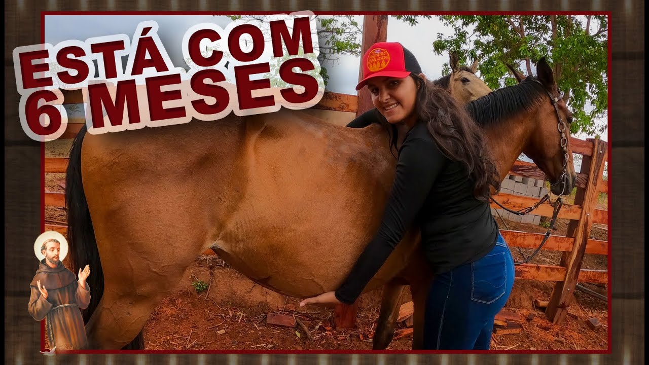 A Égua Está com 6 Meses JÁ!!!!