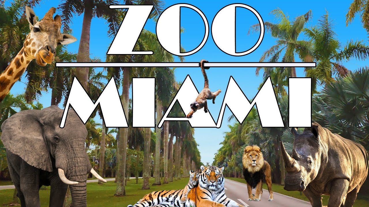 Zoo Miami: Uncover Miami's Wild Side