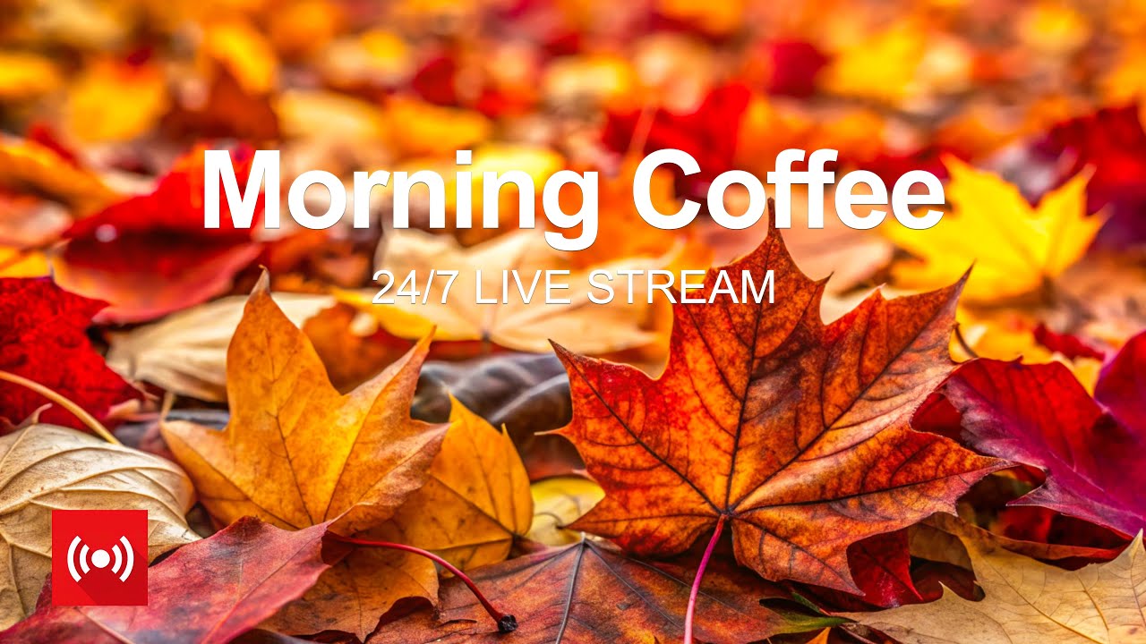 Morning Coffee, 2025 ☕🍁 24/7 Live Stream - Happy Music to Start Your Day - Relaxing Chillout House