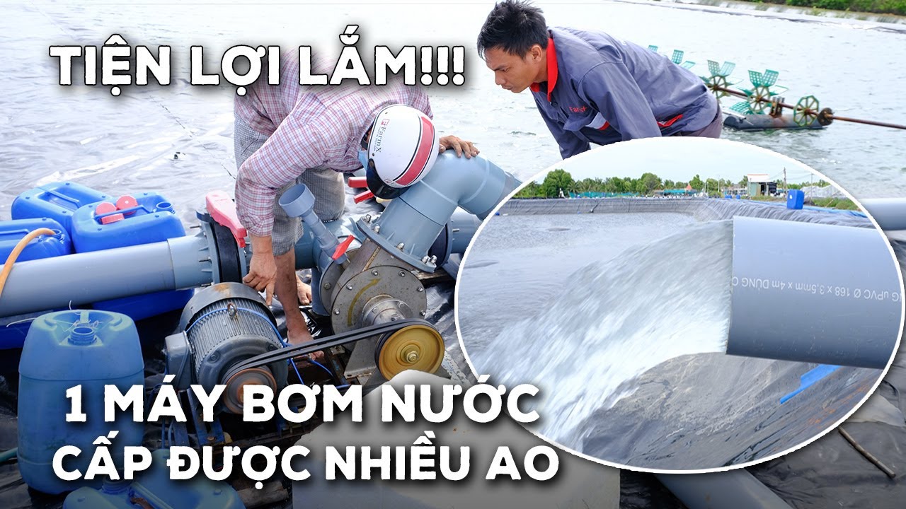 Cấp Nước Cho Nhiều Ao Nuôi Tôm - Với Dòng Bơm A168 - Giúp Tiết Kiệm Điện