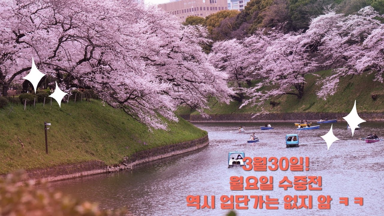 3월30일 투나대리 월요일 수중전 역시 업단가는 없지 암 ㅋㅋ