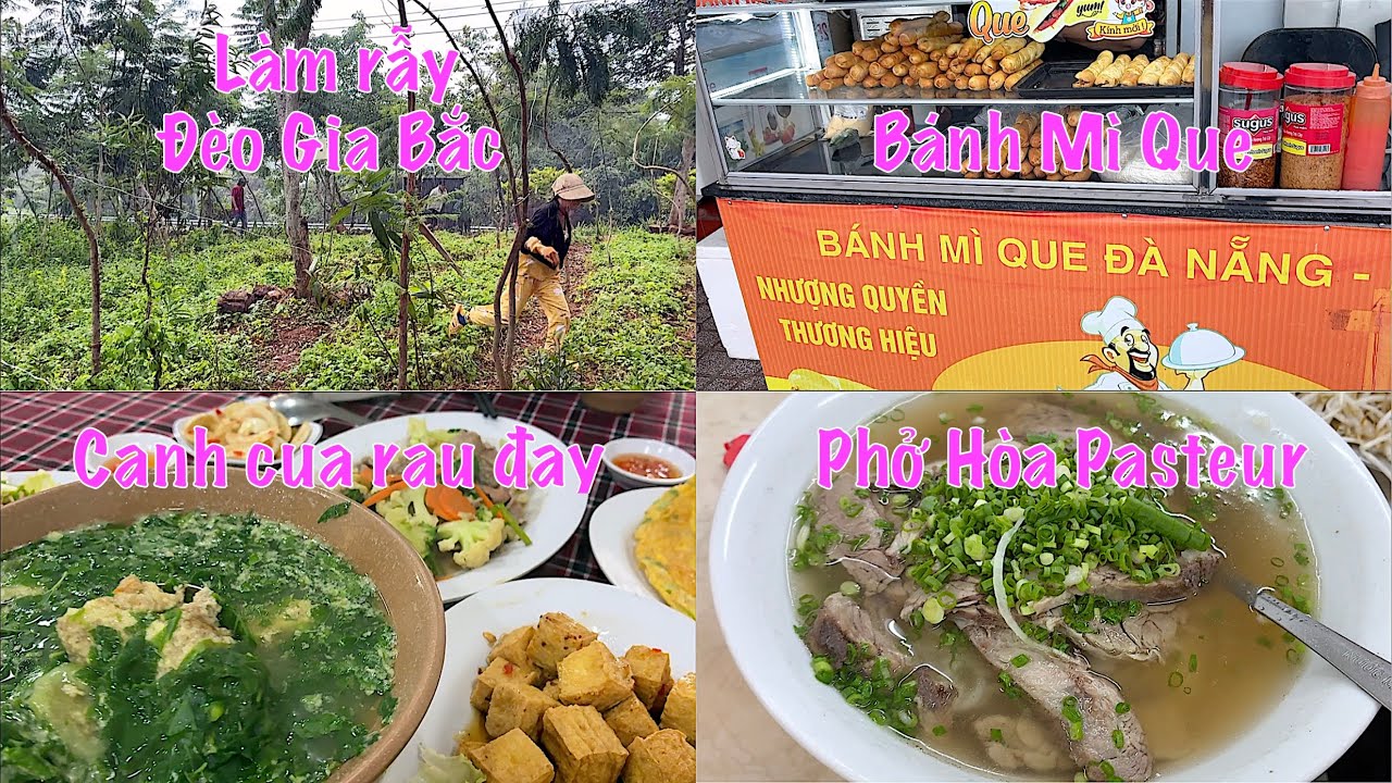 🚗 Từ Di Linh về Sài Gòn qua Đèo Gia Bắc