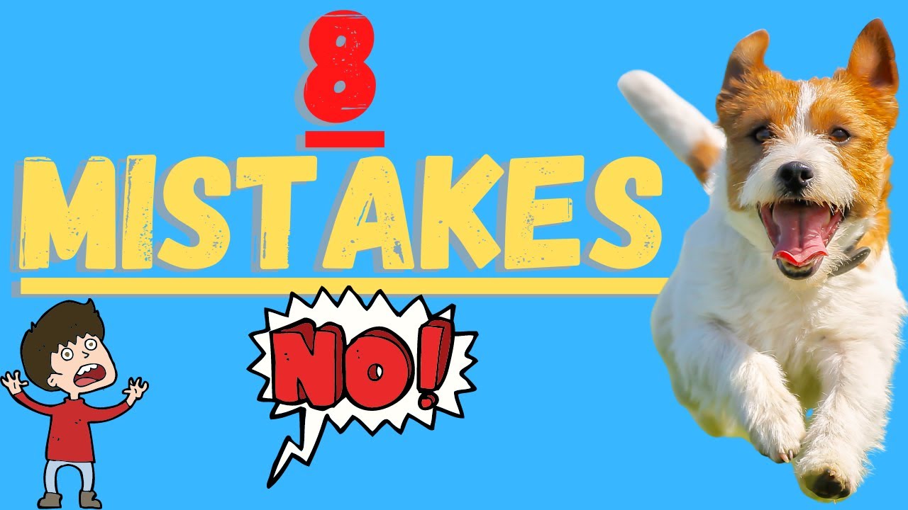 Jack Russell Terriers (Avoid These 8 Critical Mistakes)