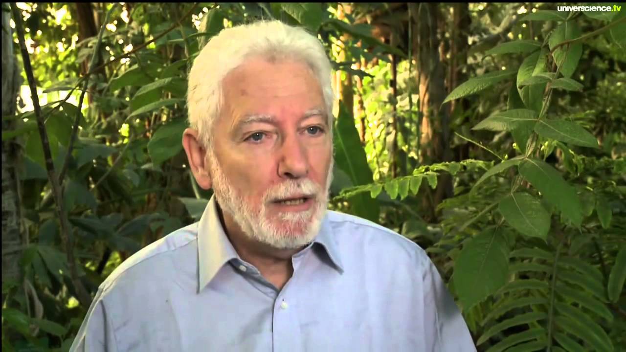 Amazonie une forêt façonnée par l'homme