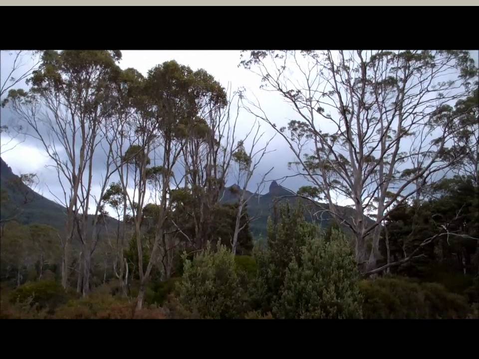 Overland Track Tasmania - solo walk
