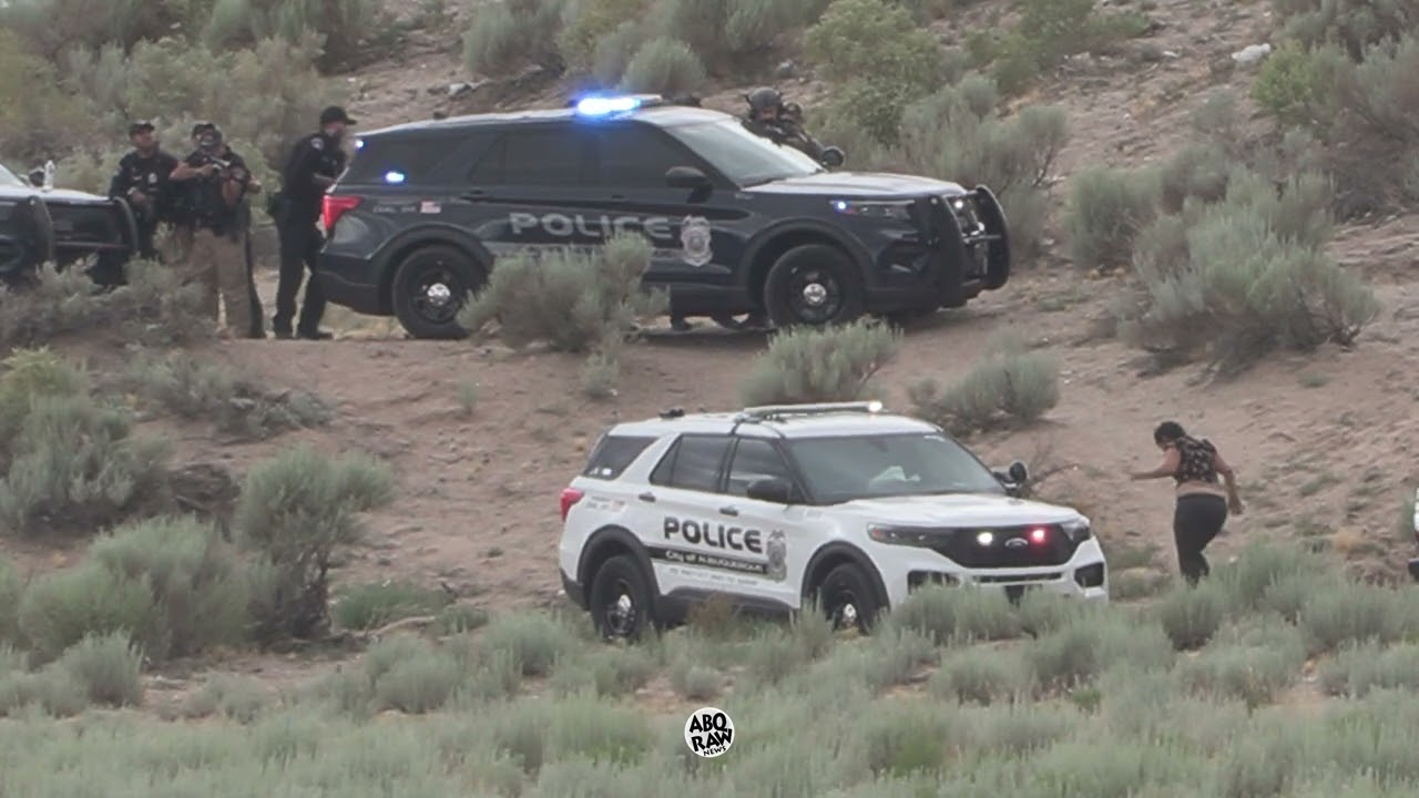 EXCLUSIVE: Video Captures Officer Involved Shooting of Car Thief