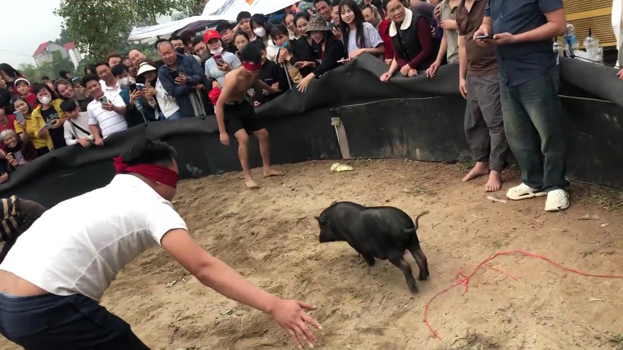 bịp mắt bắt dê