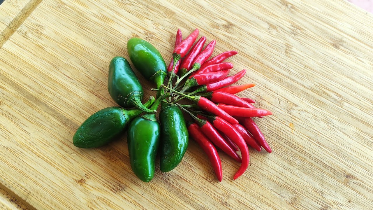 COMO HACER PICANTE CASERO, ESTA FORMA ESTA SUPER RICA🔥🔥