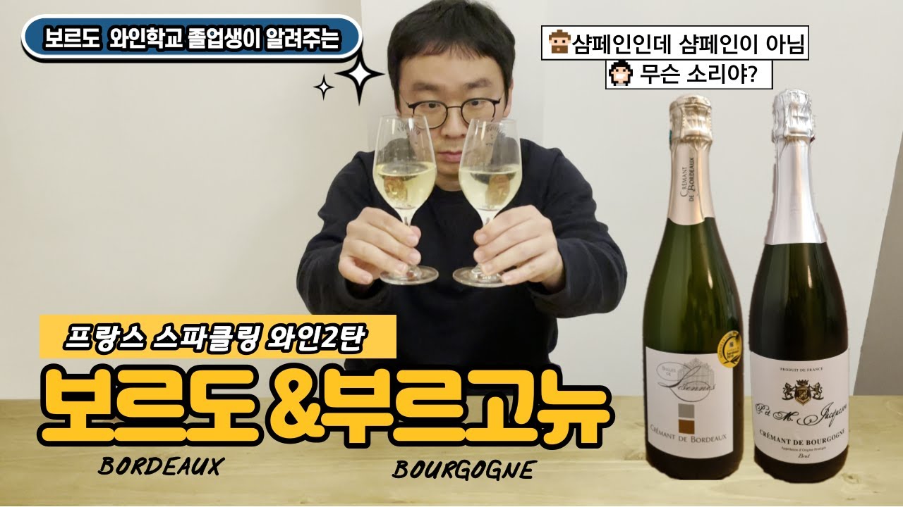 보르도&부르고뉴 프랑스 스파클링 와인 알아보기 [2탄]