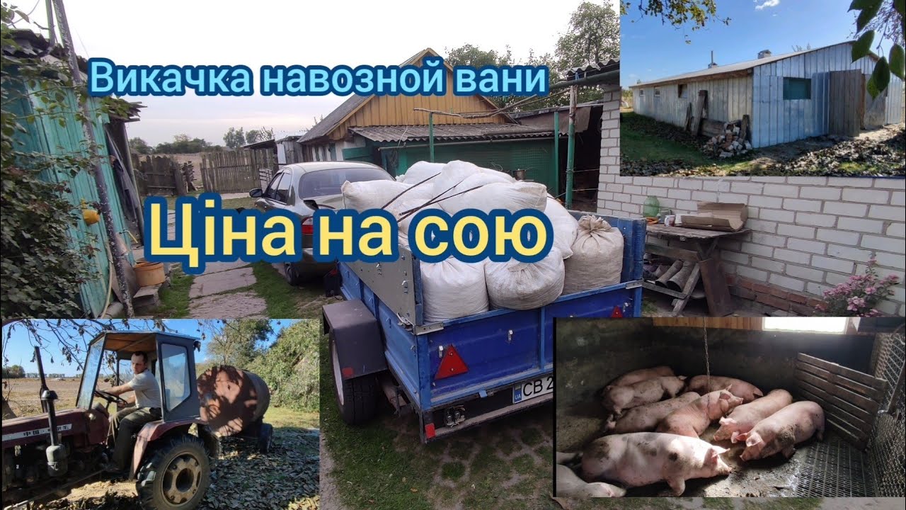 Купив сою ,ціна на сою //викачка навоза, щілева підлога