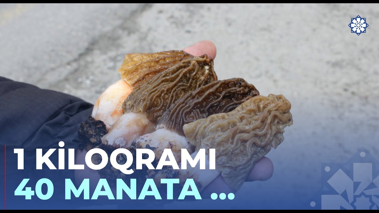 İki kiloqram quzu əti qiymətinə satılan quzuqarnı