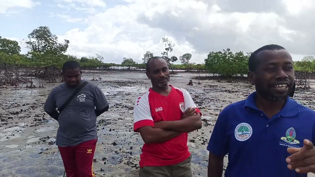 Mangrove Restoration training in Northern Pemba supported by WCS implemented by WIOMN  24/03/2026
