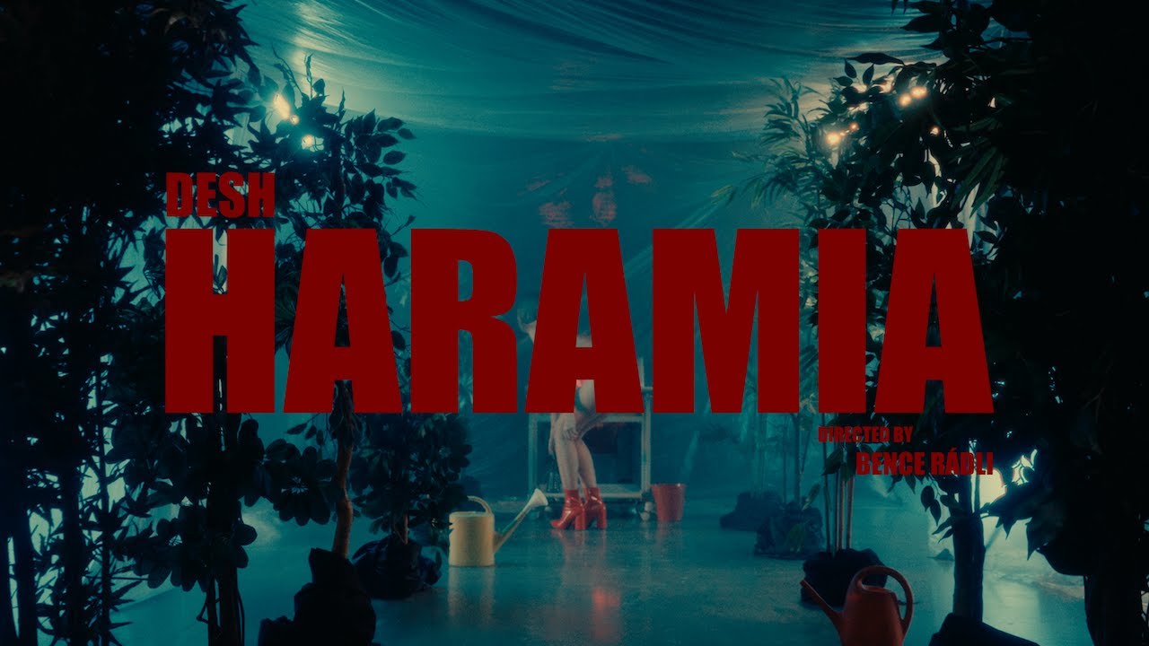 DESH - HARAMIA (Official Music Video)