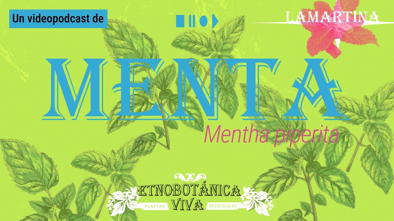 EP 2. Menta limpiadora