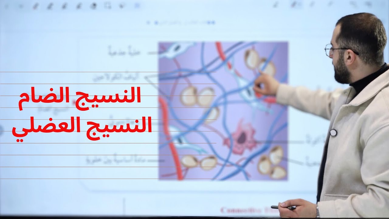 النسيج الضام والعضلي | الدرس الاول | الصف التاسع