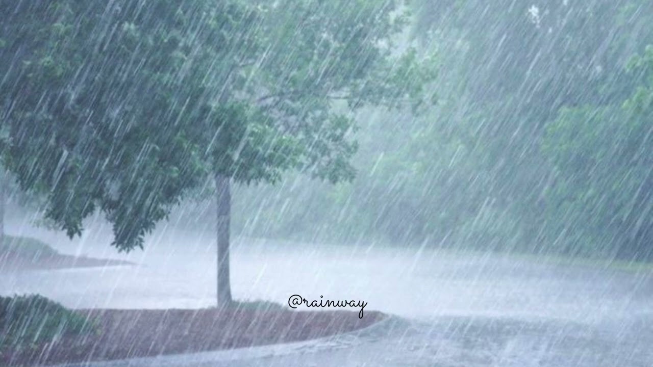 Full of Energy to Sleep Instantly with Heavy Rain & Fierce Thunder on the Three. #asmr #rain 