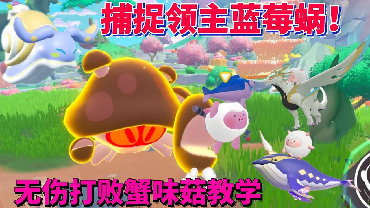 手把手教学无伤打败蟹味菇 捕捉领主蓝莓蜗！ 