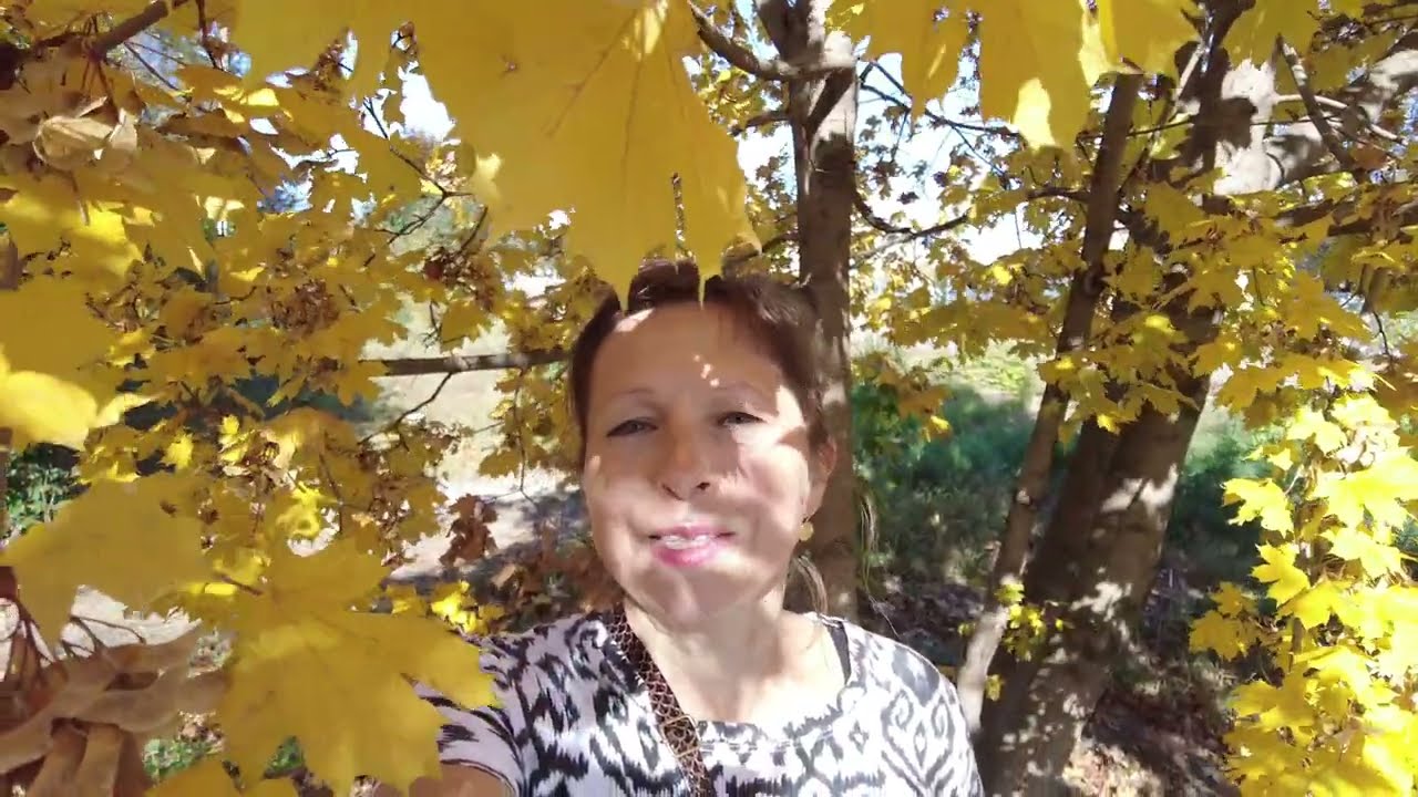 Улица Маяковского в нашем городе Аткарске 