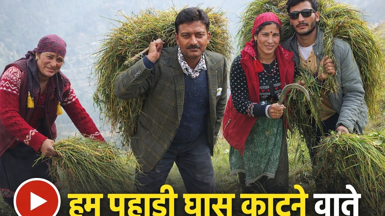 Aaj mama k ghar ghass katne gye bahut mza aaya 